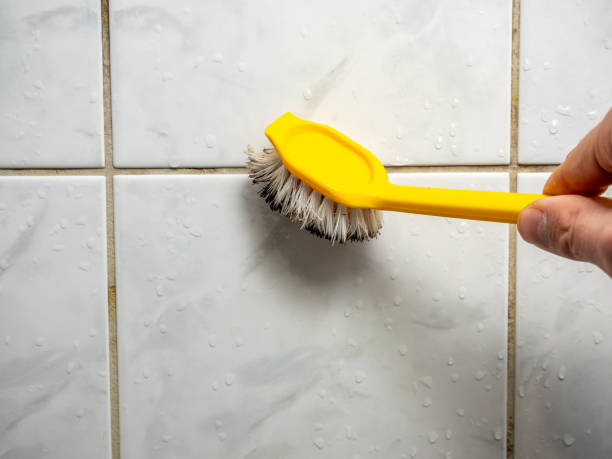 Best Home Mold Removal  in Preston, IA
