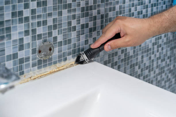 Best Mold Cleaning Services  in Preston, IA