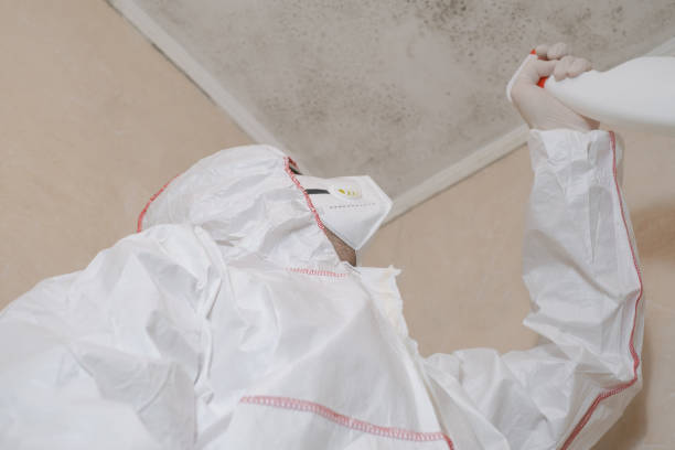 Best Emergency Mold Removal  in Preston, IA